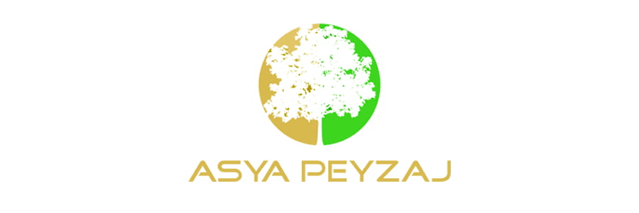 Asya Peyzaj